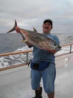 Yellowfin in September